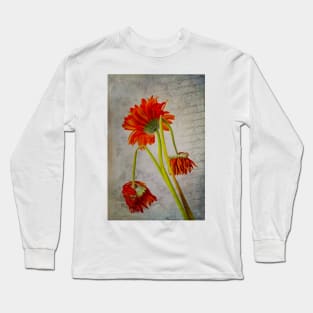 Wilting Flowers And Old Letter Long Sleeve T-Shirt